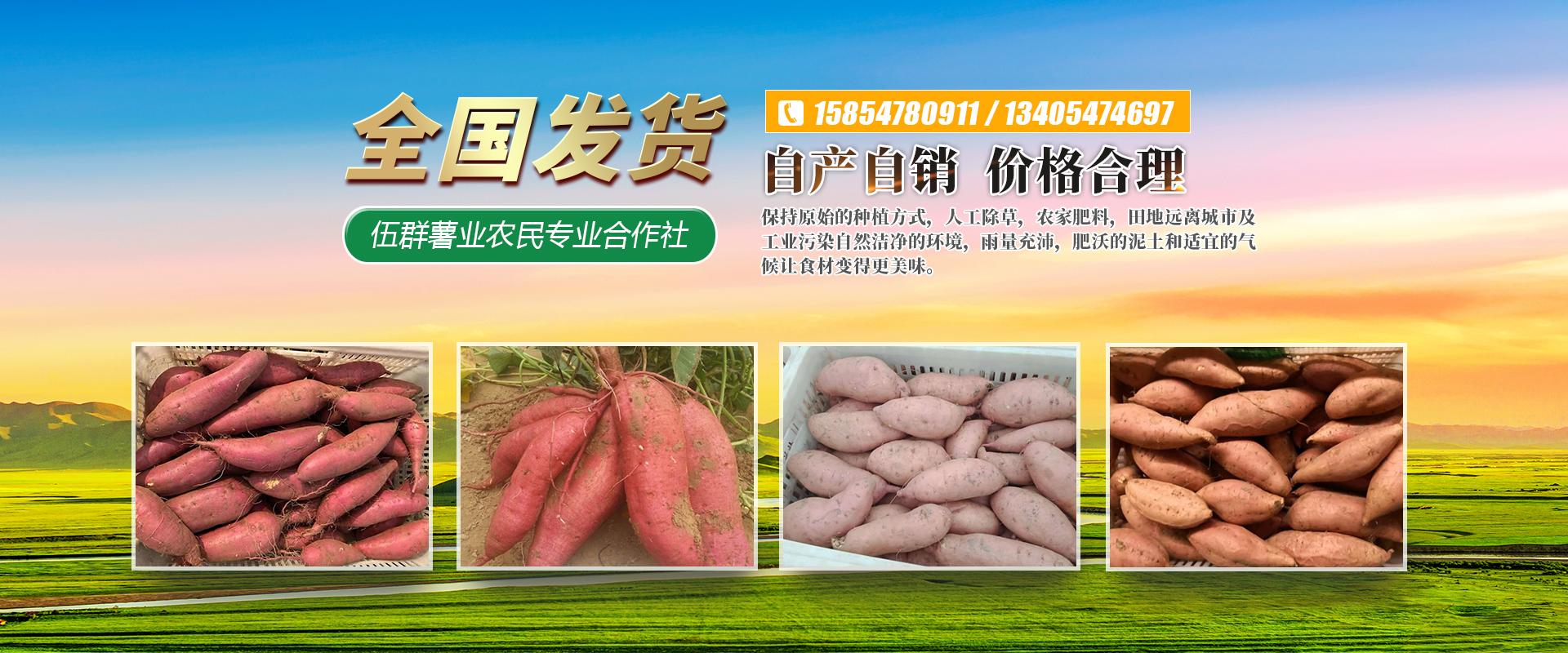 梁山伍群薯业农民专业合作社