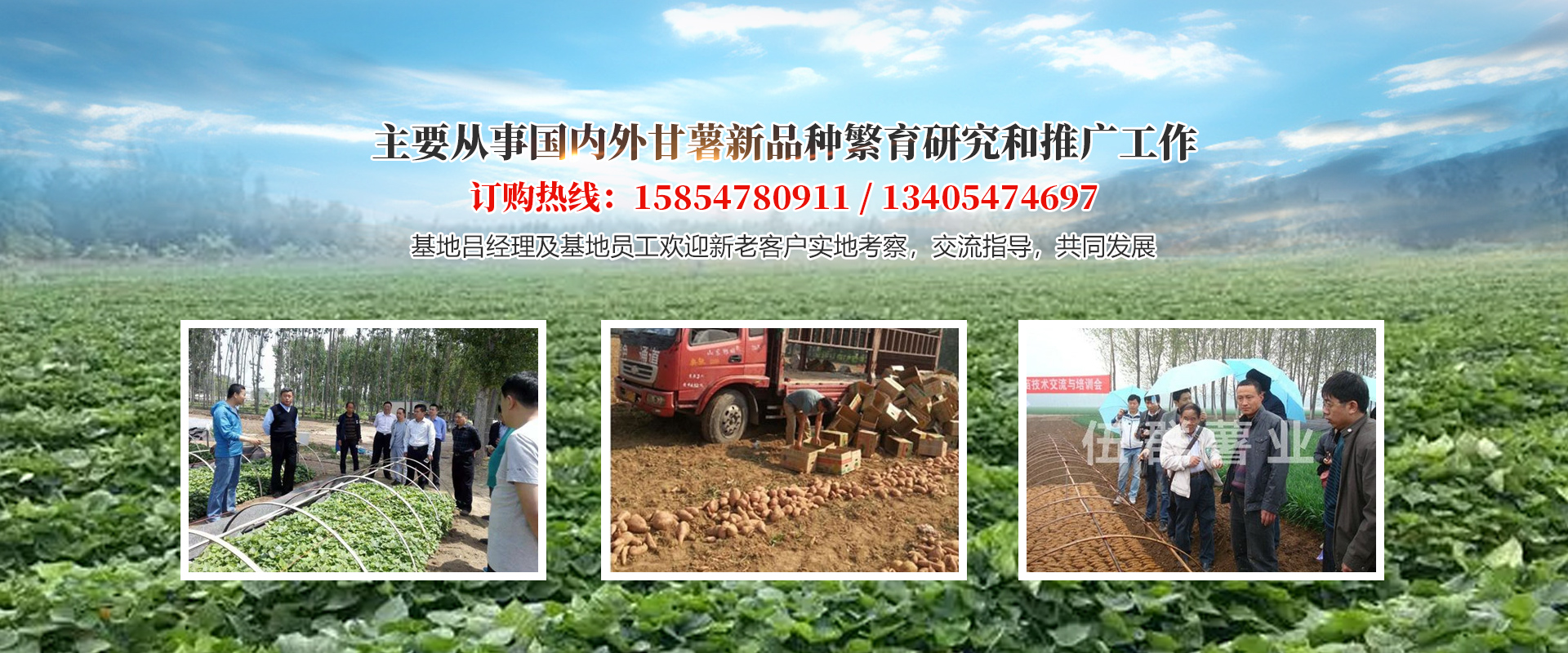 梁山伍群薯业农民专业合作社
