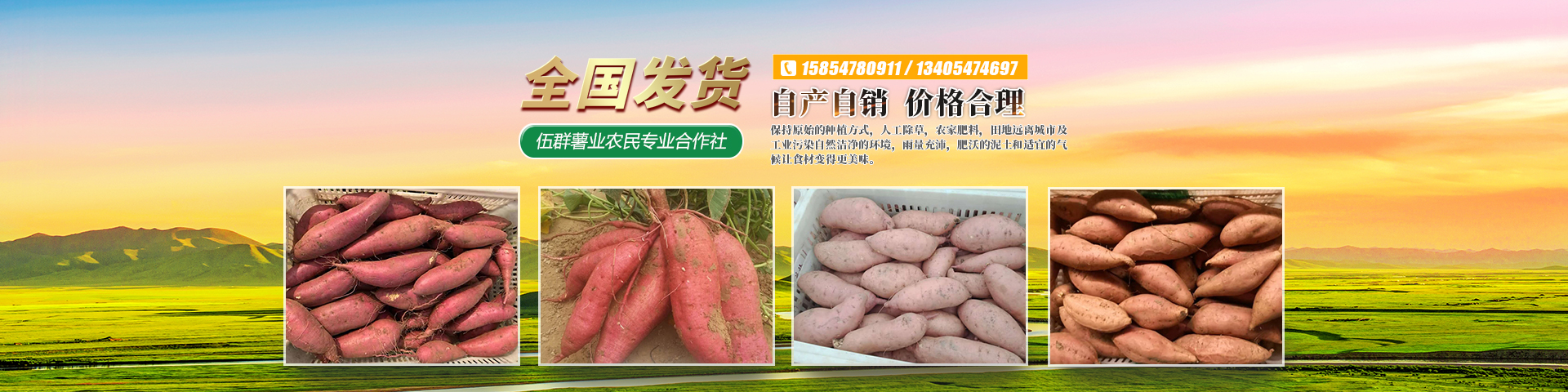 梁山伍群薯业农民专业合作社