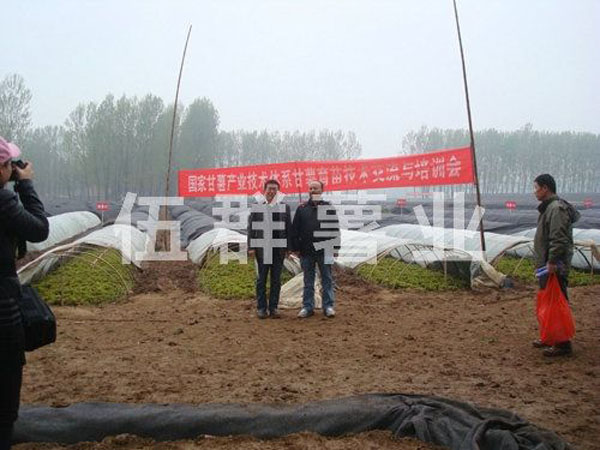 20161026167230.jpg