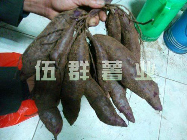 201610261625280.jpg