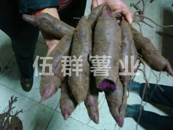 201610261624570.jpg