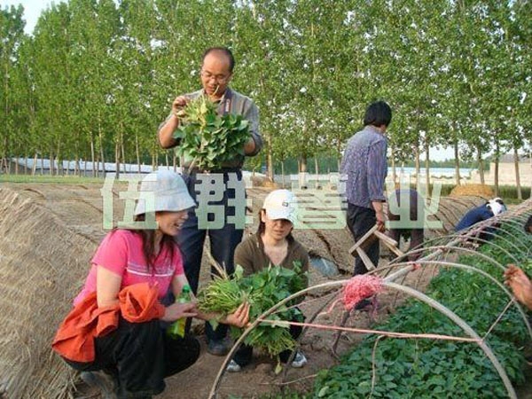 技术考察