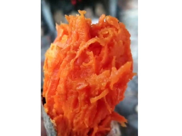 普薯32（西瓜红）